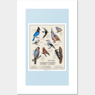 High Elevation Birding Posters and Art